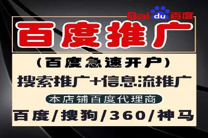 百度竞价广告运营全解析：成功案例揭秘